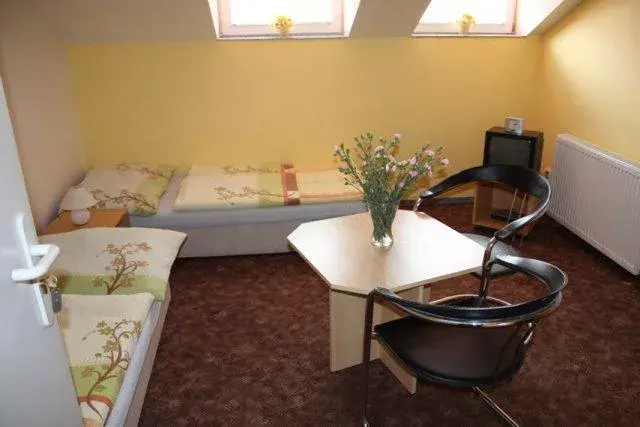 Photo 4 of Penzion Lionetta